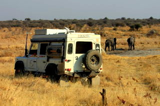 Nesito in Namibia