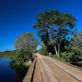 Die "Estrada do Parque" hat, wie ihr nördliches Pendant die Transpantaneira, unzählige Brücken, bei denen man herrlich die Tierwelt beobachten kann ...
