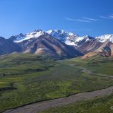 Sicht auf die Polychrome Mountains im Denali N.P..
