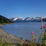 Von Anchorage geht's südwärts auf dem Seward Highway entlang einer Meereszunge mit Blick auf die beginnende Gletscherwelt.
