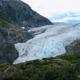 In Seward wandern wir zum Exit Glacier.
