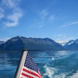 Doch wir haben bereits eine andere Tour gebucht. Eine Schiffsfahrt zum Columbia Glacier.
