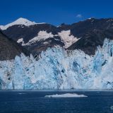 Wir kommen dem Columbia Glacier nun näher. Dieser Gletscher ist einer der noch wenigen seiner Art, welcher direkt im Meer kalbt.
