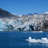 Im Wasser schwimmen teils riesige Eisbrocken, welche der Gletscher bereits frei gegeben hat.
