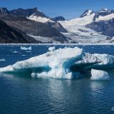 Im Hintergrund sieht man den wuchtigen Columbia Glacier ...
