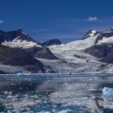 Täglich kalbt der Columbia Glacier etwa 35m von seiner Länge ins Meer. 
