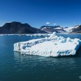 Nach über einer Stunde beim Gletscher konnten wir so einige Abbrüche der Eismassen ins Meer miterleben.
