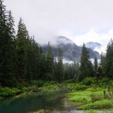 Beim Fish-Creek soll es zwischen Mitte Juli und Ende August zu diesem etwas ungleichen Kampf kommen.
