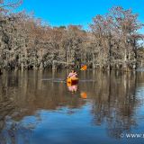 Am nächsten Tag geht es dann auf eine ausgiebige Paddeltour im "Caddo Lake State Park". (Foto gesponsert von www.majanta.net). 
