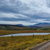 Auf dem Rückweg des Dempster Highways können wir sehen, …

