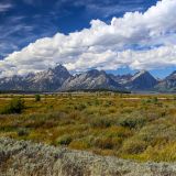 Grand Teton N.P.
