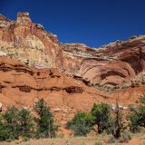 Capitol Reef N.P.
