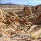 Eine schöne Kurverei gibt es auf dem Burr Trail im Capitol Reef N.P..
