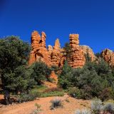 Hoodoos im Red Canyon.
