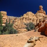 Red Canyon
