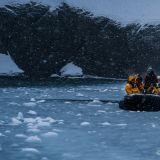 Bei "Elephant Island" unternehmen wir eine Zodiac-Tour bei schneetreibendem Wetter zum "Wild Point".
