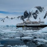 Die Ocean Endeavour vor Anker bei "Danco Island". 
