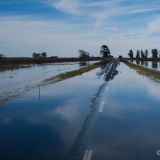 Nein, wir sind nicht mehr in den Sümpfen von Iberá, sondern in der Region La Pampa. Doch seit Monaten anhaltender Regen ...
