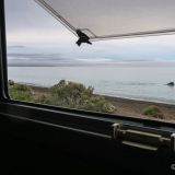 ... und schwimmen täglich an unserem Standplatz bei der Playa Las Canteras vorbei.
