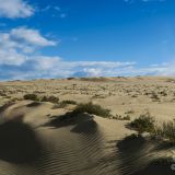 Dünenlandschaft auf der Península Valdés. 
