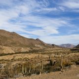 Diese Landschaft erinnert uns stark an den Norden von Argentinien. Hier sind wir aber auf dem Weg Richtung Potosí.
