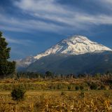 Die Sicht auf den Popocatépetl muss man sich hart verdienen, denn wir stecken in einem Megastau fest, welcher in beide Richtungen geht.
