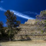 In einem Tagesausflug erklimmen wir die Ruinen von Monte Albán.
