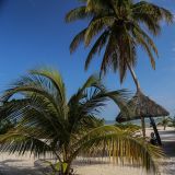 An der "Playa de Coco" (Balneario Zac-Ha westlich von San Crisanto) geniessen wir zum ersten Mal das karibische Feeling.
