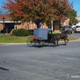 Wir entscheiden uns für Pennsylvania und die Amish, welche immer noch so wie vor 100 Jahren leben.
