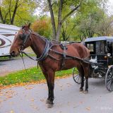 Eine Amish-Familie kommt auf unseren Camping und verkauft frisch zubereitete Back-Leckereien. Da kann Roger nicht widerstehen. :-)
