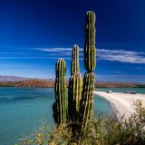 Wie schon bei der letzten Reise, steuern wir die "Playa el Requesón" an der "Bahía de Concepción" an.
