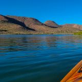 Bislang haben wir gar nicht gewusst, dass es auch Mangroven-Wälder auf der "Baja California" gibt.
