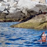 "Los Frailes" liegt am Rande des Marineparks "Cabo Pulmo" und gilt als bester Schnorchelspot der Baja. Sogar eine kleine Seelöwen-Kolonie ist hier ansässig und man kann mit ihnen schnorcheln. 
