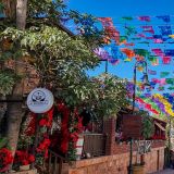 In "San José del Cabo" gibt es richtig gute Restaurants und wir haben die Qual der Wahl, uns eins auszusuchen. 
