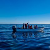 Zwei Tage später sind dann die Windverhältnisse perfekt und wir gehen erneut auf Whale Watching Tour. 
