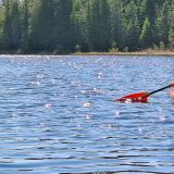 Selbstverständlich wird gleich das Kayak geholt und der See einmal komplett abgepaddelt. 
