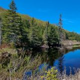 Im "Lake Superior Provincial Park" vertreten wir uns einwenig die Beine. 
