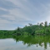 Die Szenerie am "Kerrs Lake" erinnert uns stark ans Pantanal in Brasilien. 
