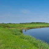 Landschaft in Sasketchawan, flach und weit. 
