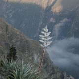 Sonnenaufgang bei der Colca-Schlucht
