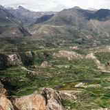 In allen erdenklichen Grünfarben schimmern die Terrassen-Anlagen
