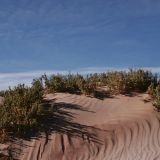 Mitten im Altiplano ragen meterhohe Sanddünen hervor
