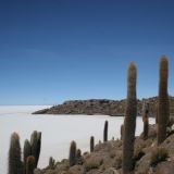 Von der Isla Pescado erhält man eine Panoramasicht über den Salar de Uyuni
