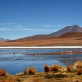 Kitschiges Panorama bei der schwerzugänglichen "Laguna Cañapa"
