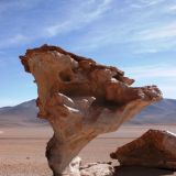 Mitten im Nichts steht der "Arbol de Piedra"
