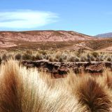 Auf dem Weg von Uyuni nach Oruro
