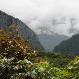 Durchs Chapare geht es wieder hinauf nach Cochabamba
