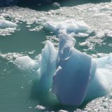 Das Ergebnis, wunderschöne und  eigenartige Figuren schwimmen im Wasser
