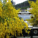 Blütenzauber vor Bariloche.
