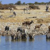 Etosha Nationalpark
